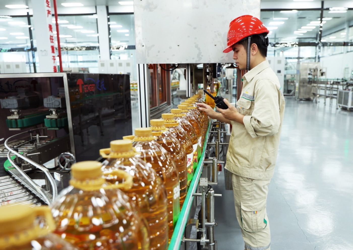 高新技术企业认定专项审计服务：研发费用归集、知识产权关联性与成长性指标